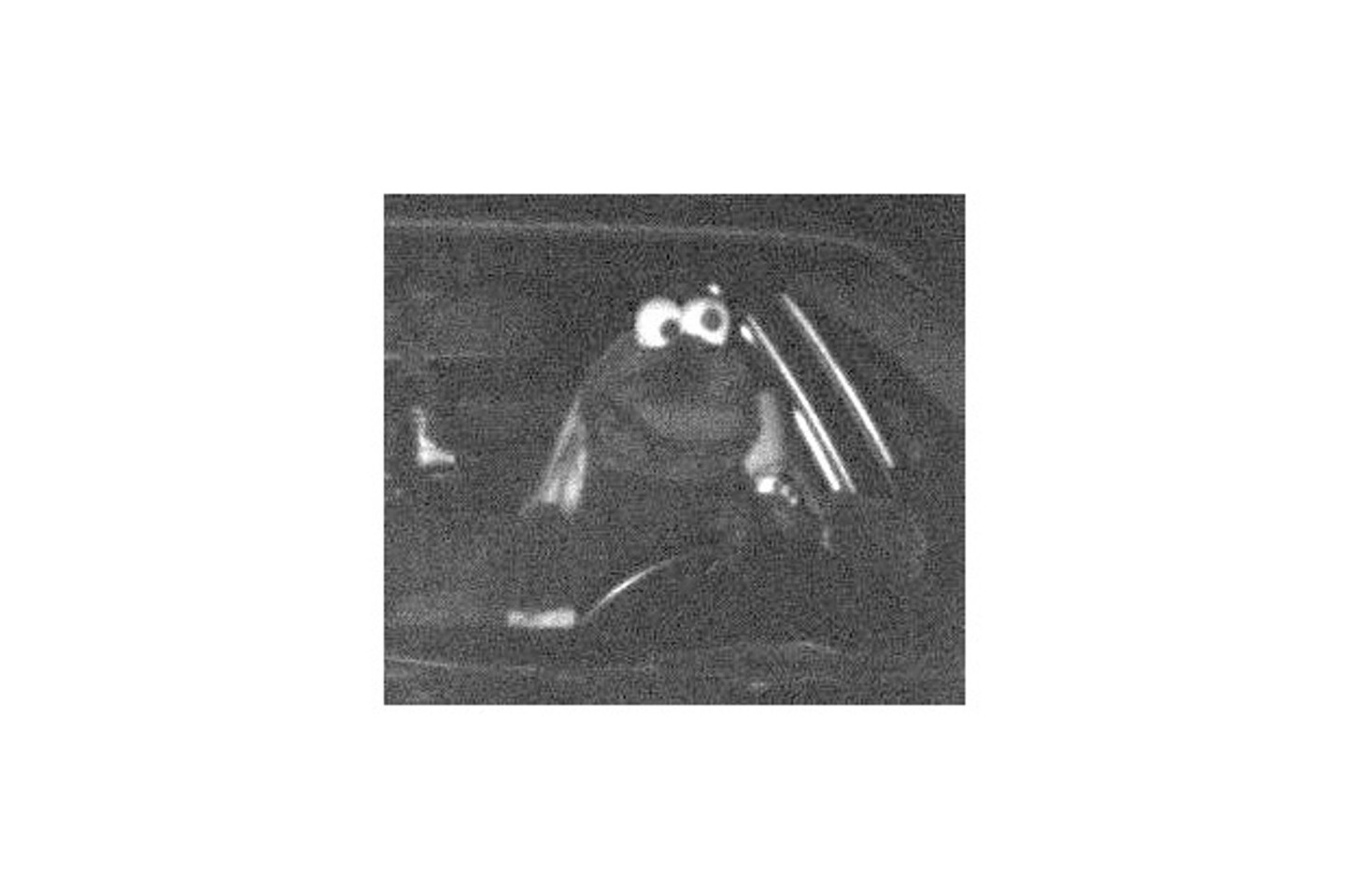 Lustiges Blitzerfoto: Ein Autofahrer war im Kostüm wie aus der Muppetshow zu schnell unterwegs.