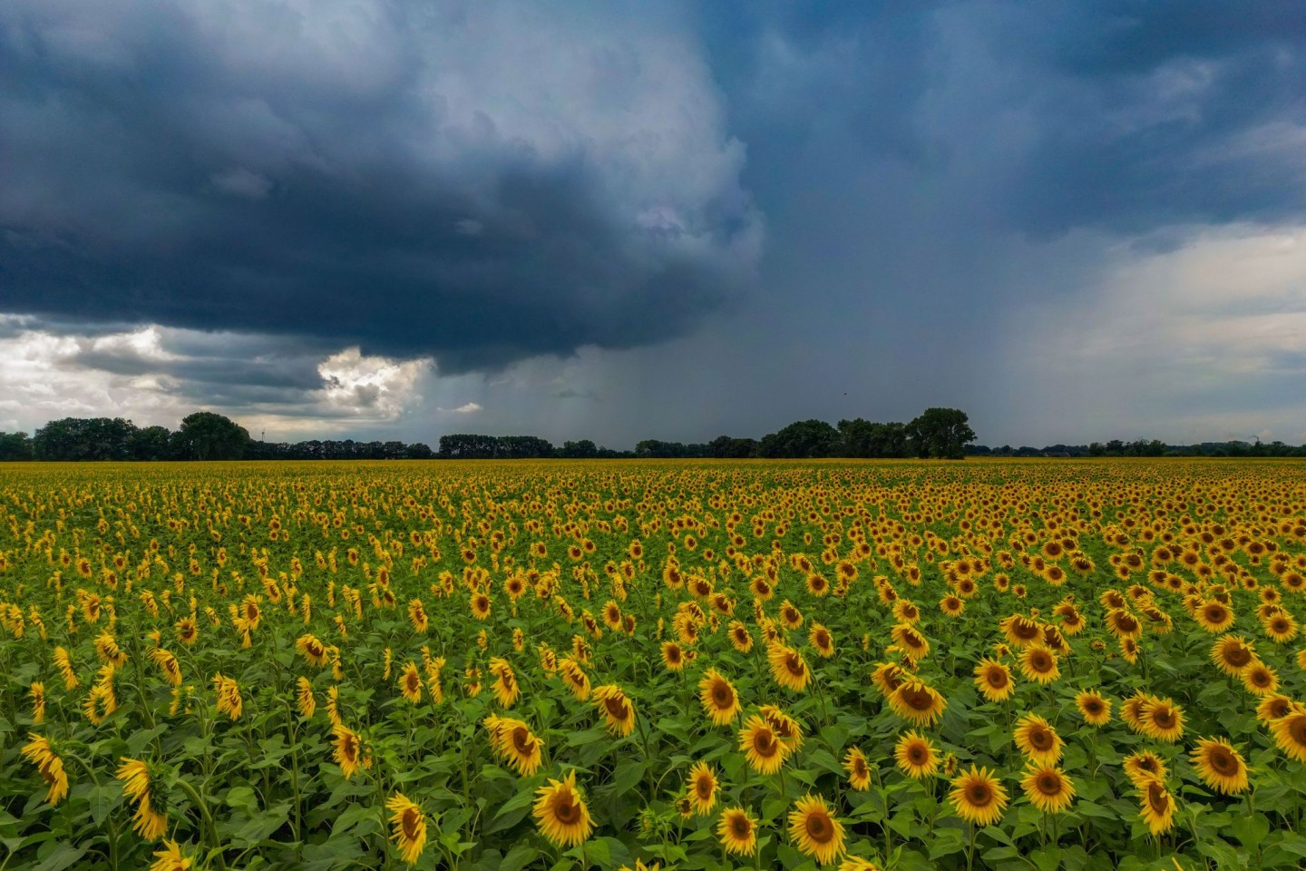 Die Sonne schien im Juli insgesamt 237 Stunden (Archivbild). 