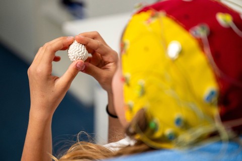 Experten sehen Fortschritte beim Gedankenlesen per EEG
