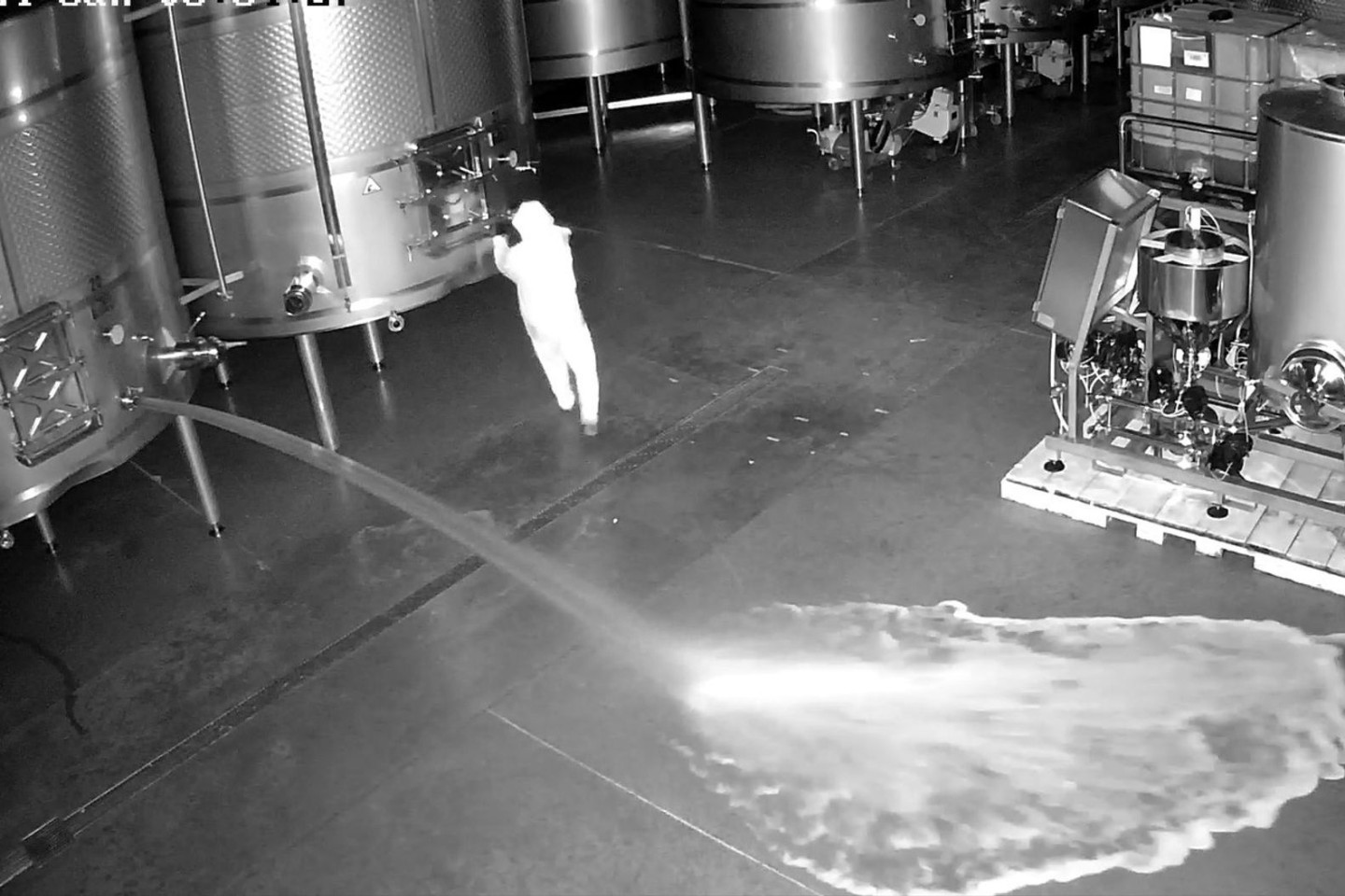 Aufnahme einer Sicherheitskamera: Im Lagerraum der Kellerei Bodegas Cepa 21 wird Wein verschüttet.