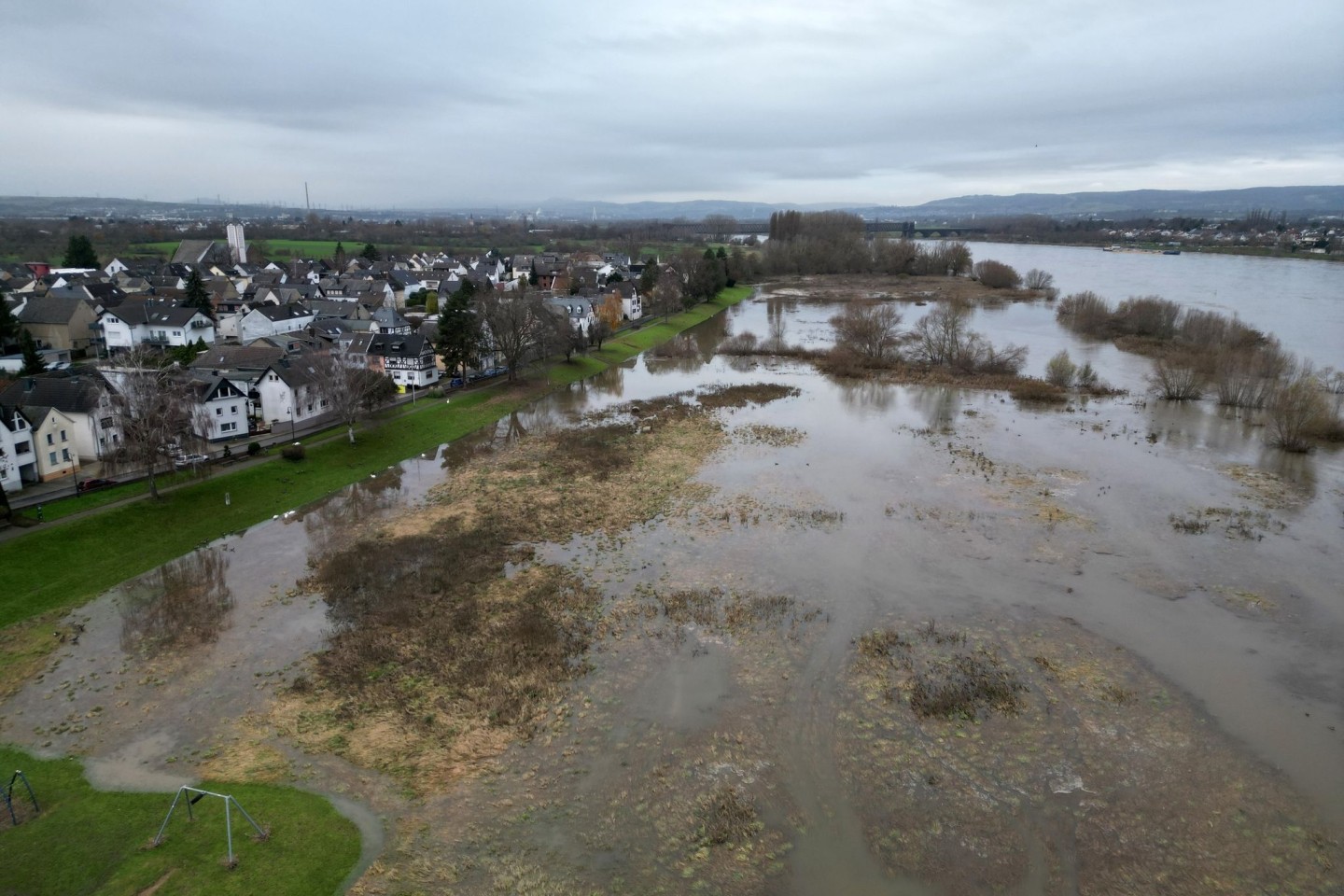 Die Uferwiese von Kaltenengers ist vom Hochwasser des Rheins überflutet.