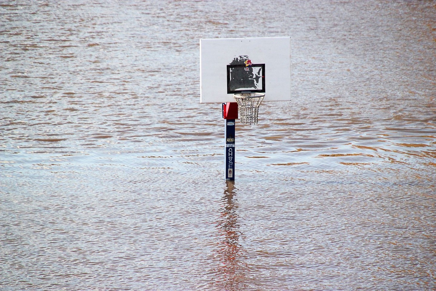 Ein Basketballkorb steht in Mannheim im Hochwasser des Neckars. Wegen des vielen Regens in den vergangenen Tagen sind die Pegelstände in Baden-Württembergs teils stark angestiegen.