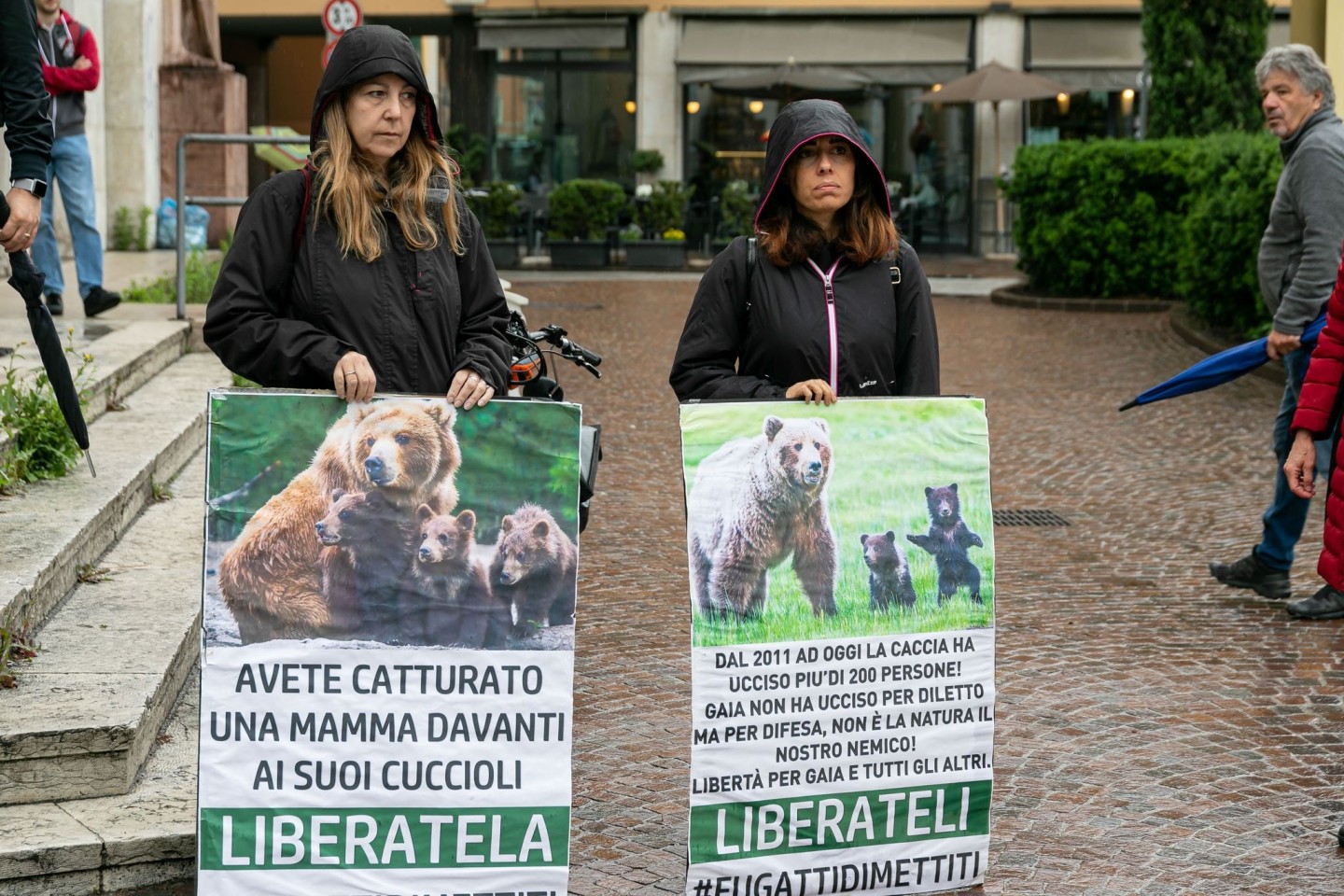 In Italien haben Umweltschützer für die Befreiung von der Bärin JJ4 demonstriert. (Archivbild)