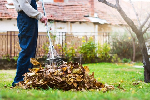 Sammelaktion für Gartenabfälle am Samstag, 19. Oktober