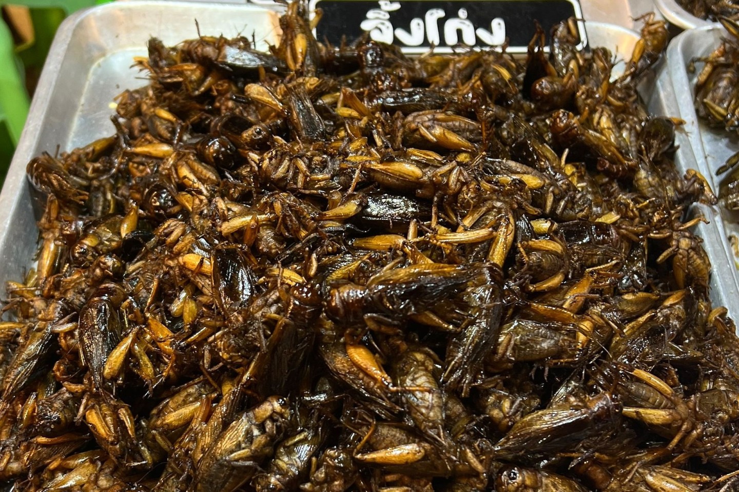 Insekten wie Würmer und Käfer gehören in Thailand bereits zum Straßenbild. (Archivbild)