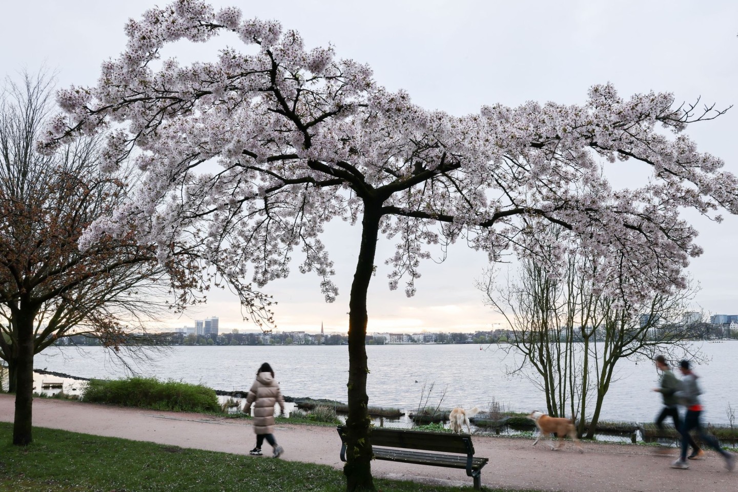 Jogger und Spaziergänger sind am Morgen an der Alster unterwegs.