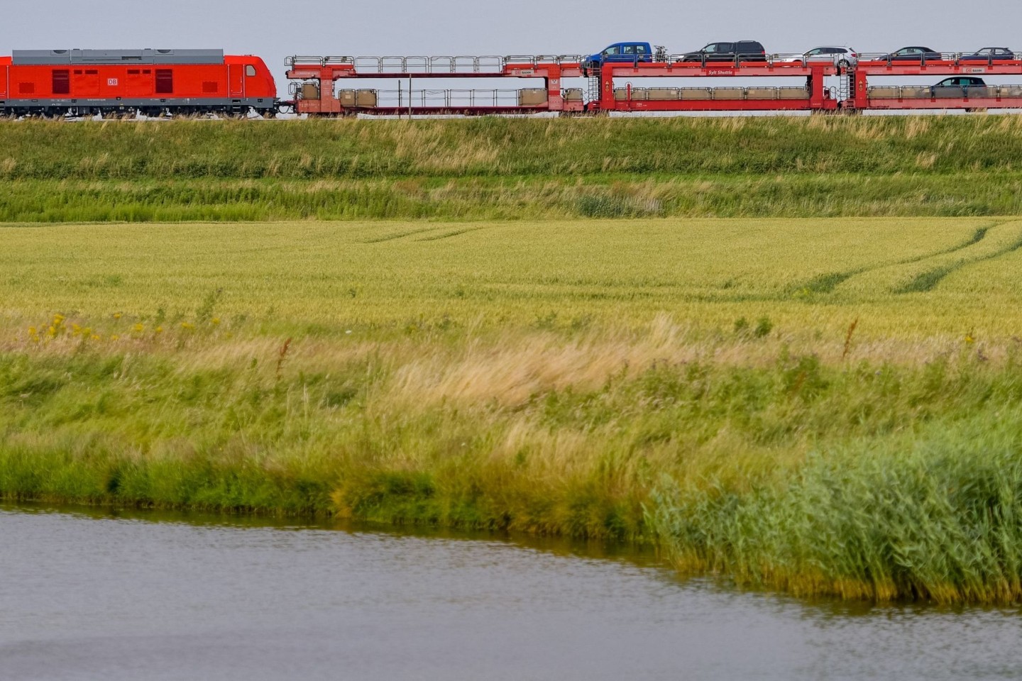 Der Sylt-Shuttle in der Nähe von Klanxbüll auf dem Weg zur Nordseeinsel.